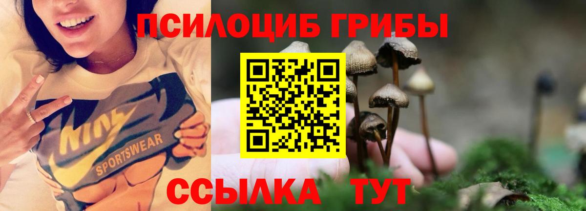 Галлюциногенные грибы Cubensis  Вход с VPN  Галлюциногенные грибы GOLDEN TEACHER  Миасс 
